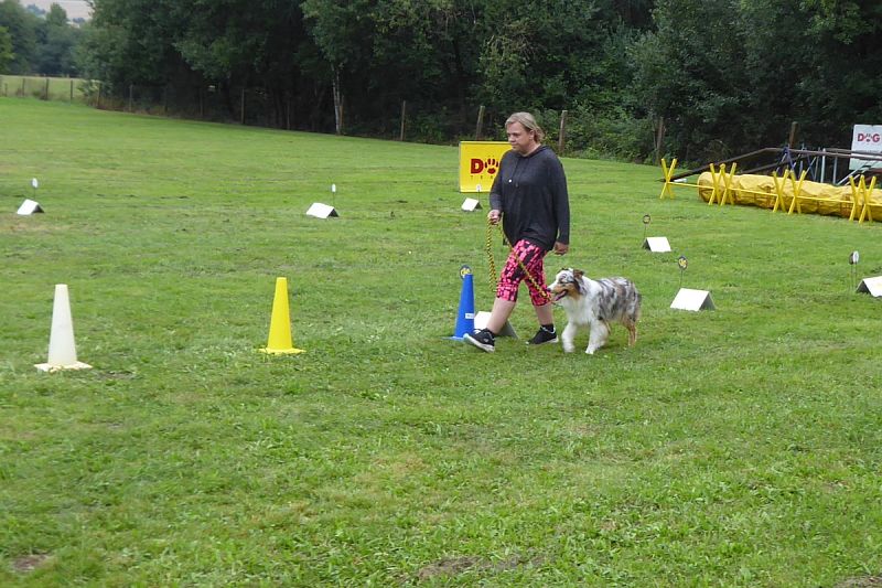 Závod Rally obedience 27.8.