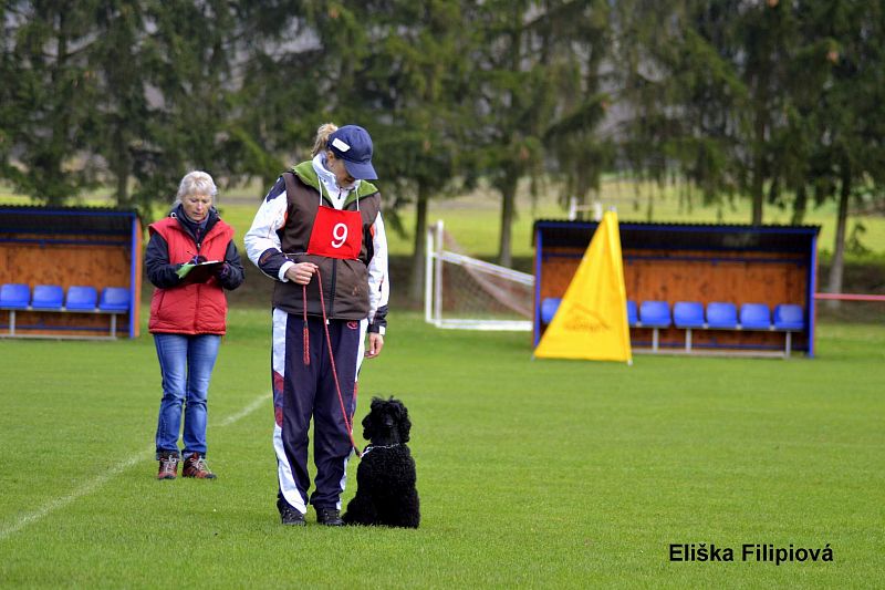 Závody Moravská Třebová