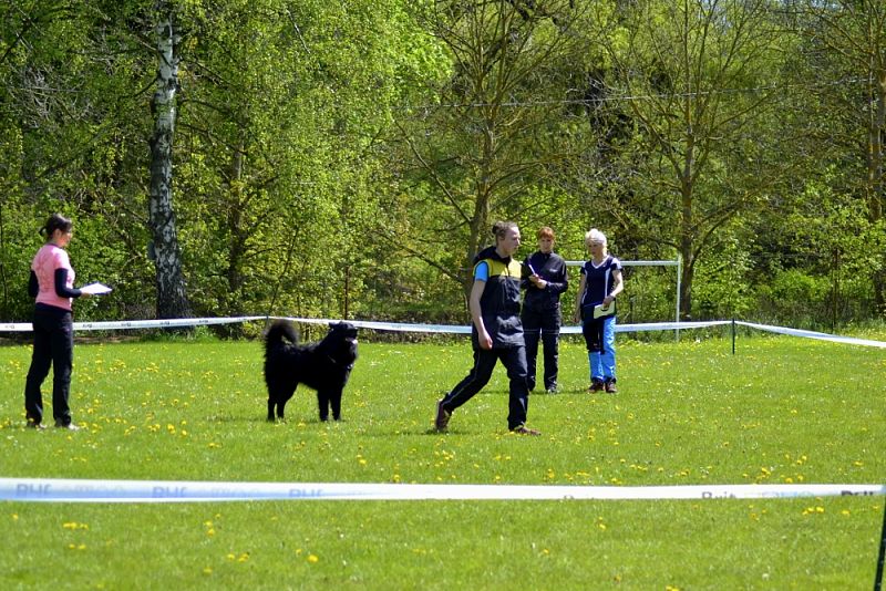 Závody Obedience Heřmanův Městec