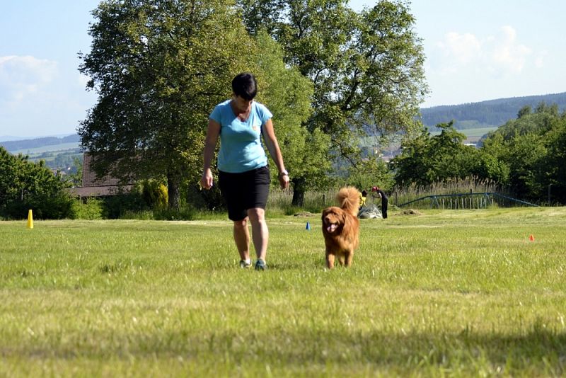 Závody Obedience Ostrava-Třebovice