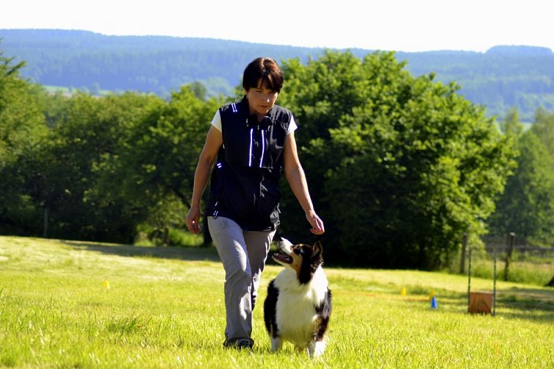 Závody Obedience Ostrava-Třebovice