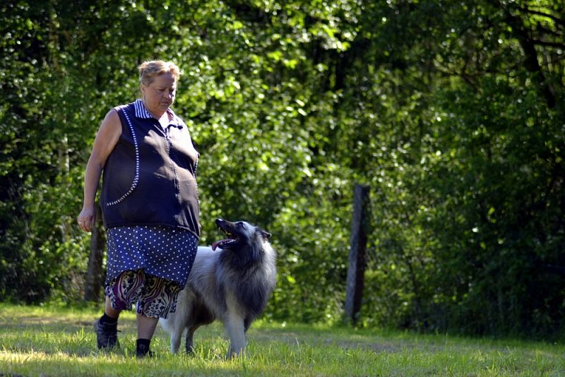 Závody Obedience Ostrava-Třebovice