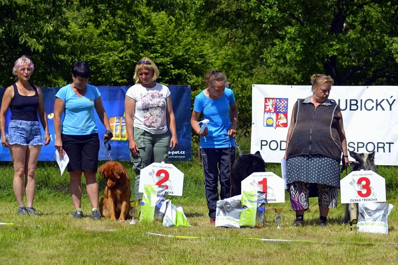 Závody Obedience Ostrava-Třebovice