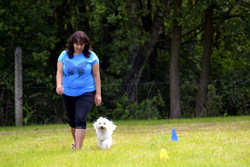 Závody Obedience Ostrava-Třebovice