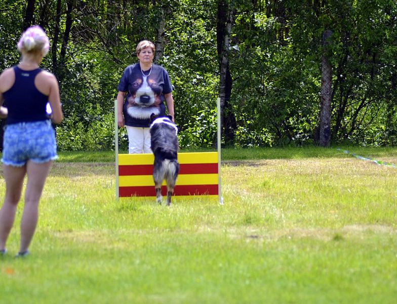 Závody Obedience Ostrava-Třebovice