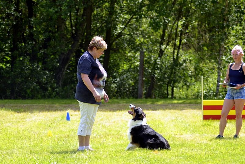 Závody Obedience Ostrava-Třebovice