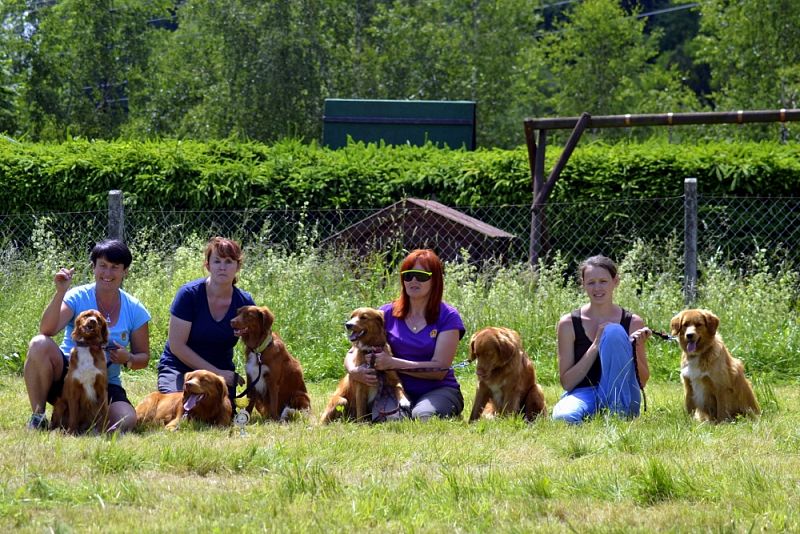 Závody Obedience Ostrava-Třebovice