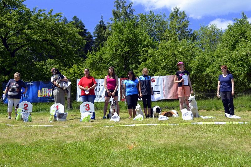 Závody Obedience Ostrava-Třebovice