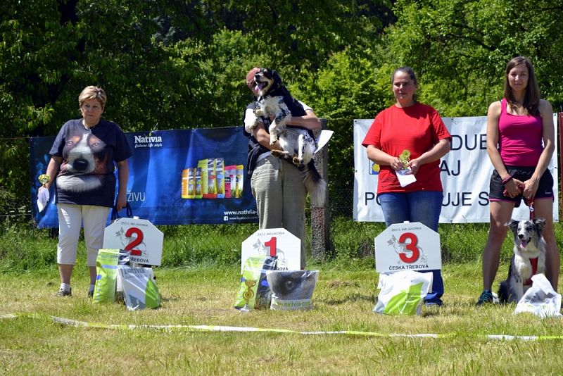 Závody Obedience Ostrava-Třebovice