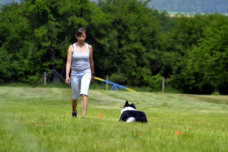 Závody Obedience Ostrava-Třebovice