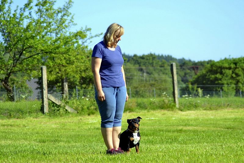 Závody Obedience Ostrava-Třebovice