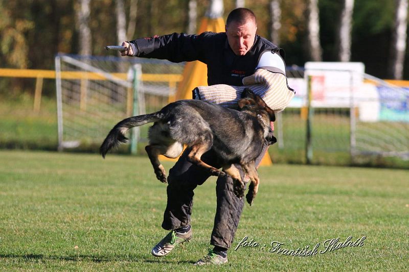 Závody Polička 2019