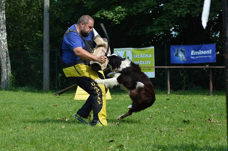 Závody Uničov srpen 2019