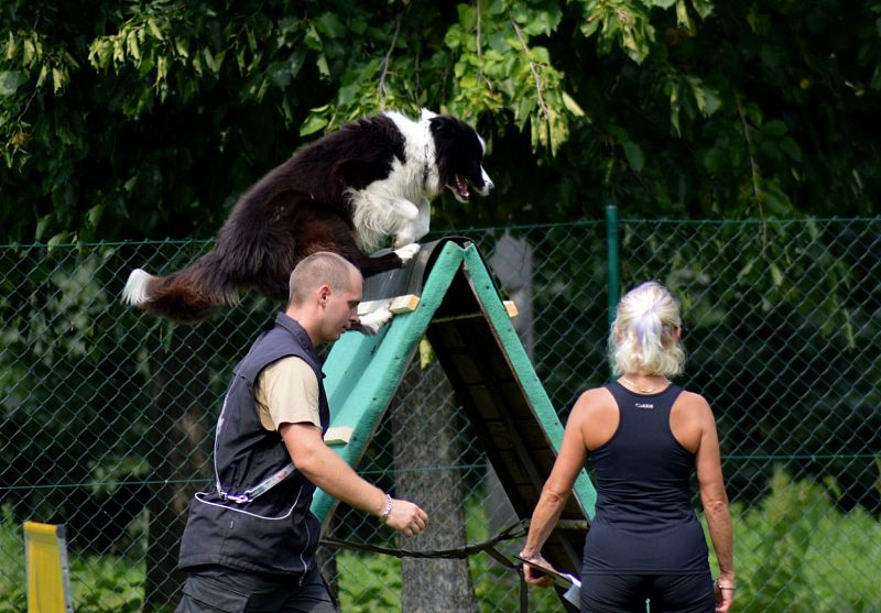 Závody Uničov srpen 2019