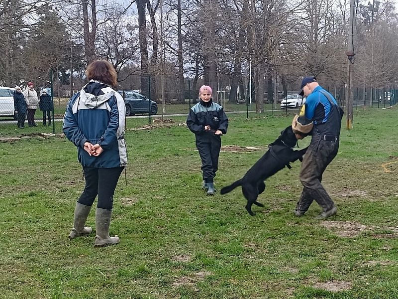 Zimní závod družstev 2024