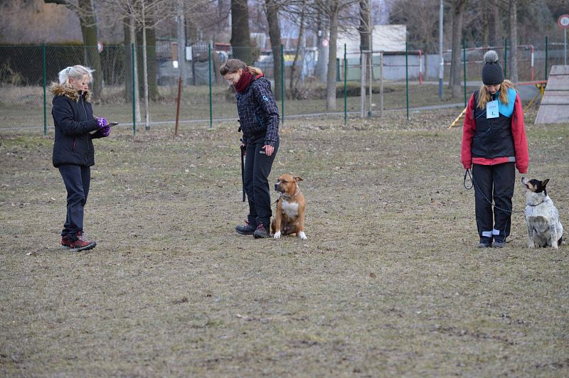 Zimní Závod družstev Uničov 2019