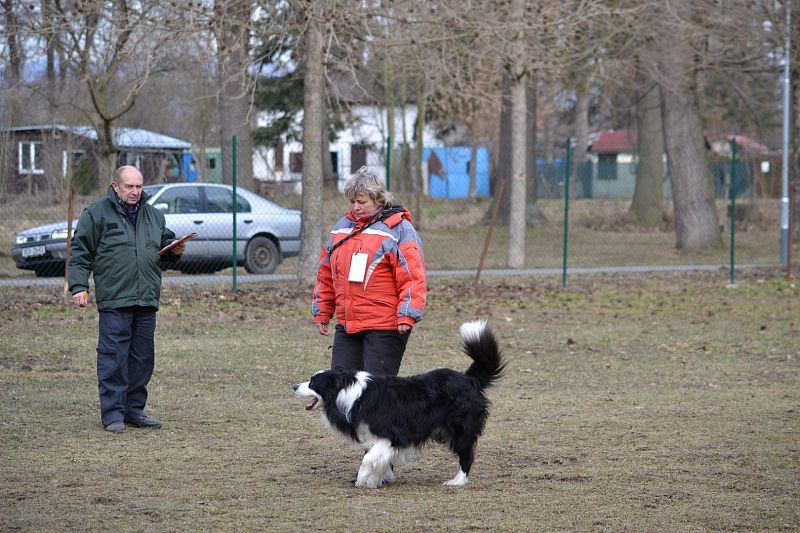 Zimní Závod družstev Uničov 2019