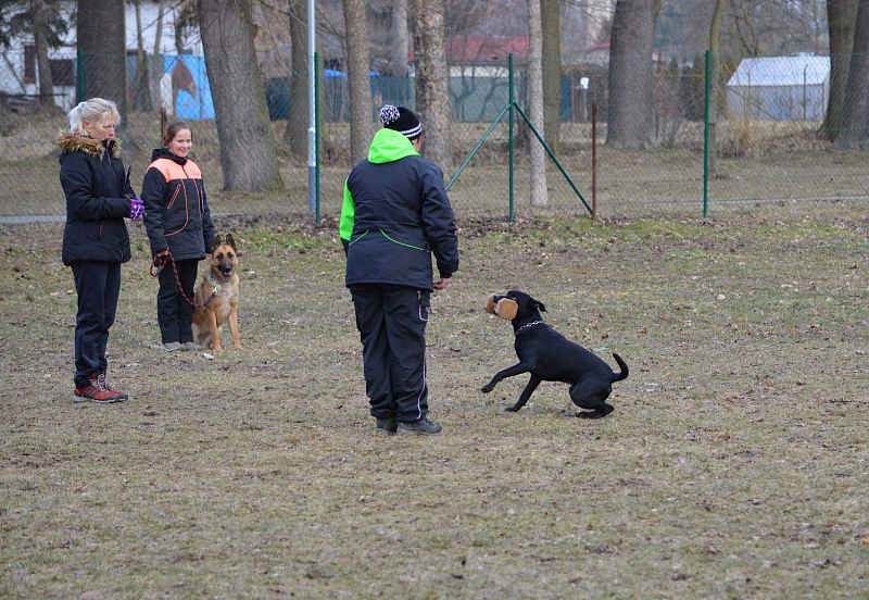Zimní Závod družstev Uničov 2019