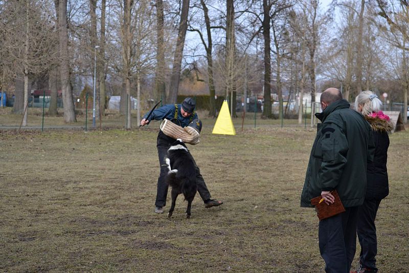 Zimní Závod družstev Uničov 2019
