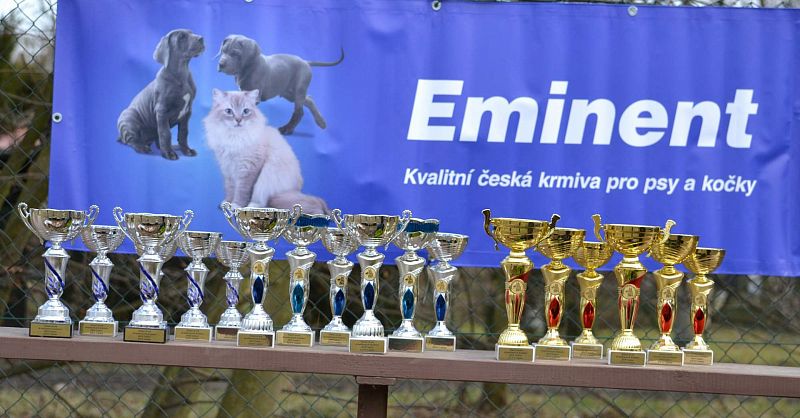 Zimní Závod družstev Uničov 2019