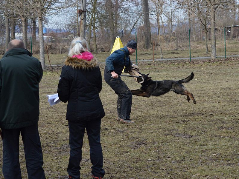 Zimní Závod družstev Uničov 2019
