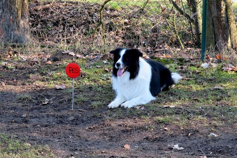 Zimní závod družstev – Uničov 28. 2 2026