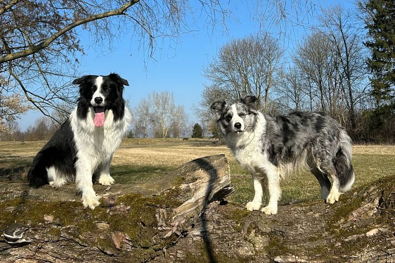 Zimní závod družstev – Uničov 28. 2 2026