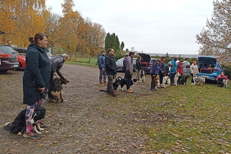 Zkoušky IBGH3 Javorka   1.–2. 11. 2025