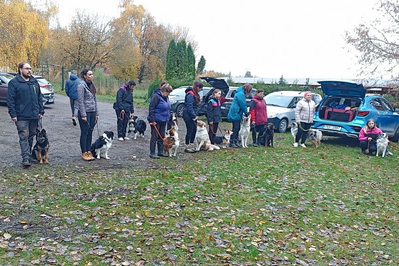 Zkoušky IBGH3 Javorka   1.–2. 11. 2025