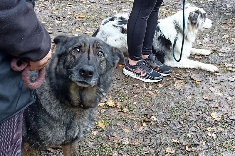 Zkoušky IBGH3 Javorka   1.–2. 11. 2025