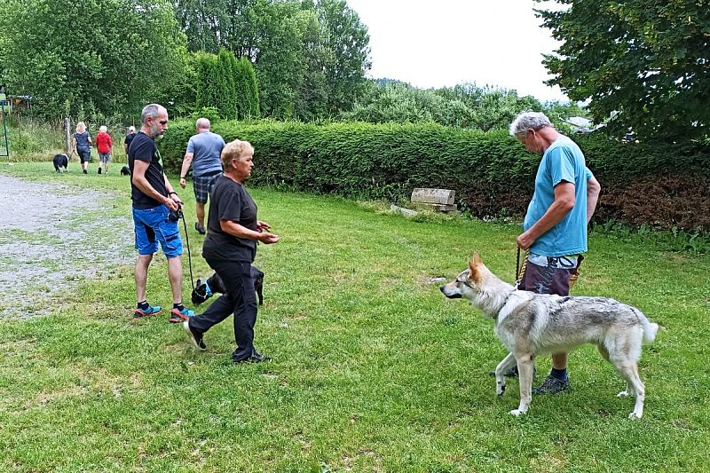 Zkoušky KJ - ZOP 24.- 25.6.2022