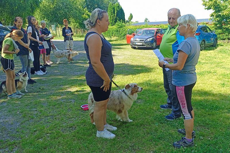 Zkoušky KJ - ZOP, ZPU červen 2025