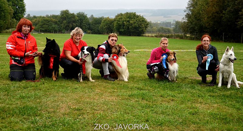 Zkoušky z Dogdancingu