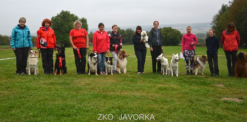 Zkoušky z Dogdancingu