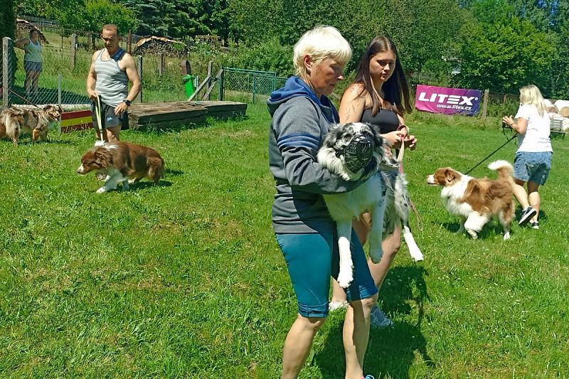 Zkoušky ZOP, ZPU 26.–27. 6. 2026